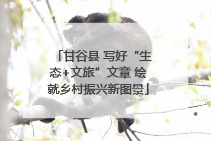甘谷县 写好“生态+文旅”文章 绘就乡村振兴新图景