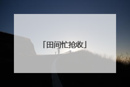田间忙抢收