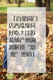 百果园门店西瓜缘何好吃？江苏盐城产地溯源解锁“甜蜜”密码