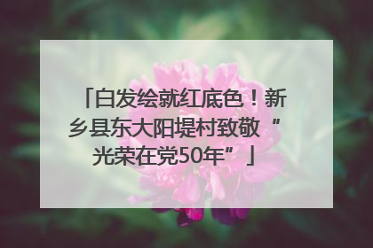 白发绘就红底色！新乡县东大阳堤村致敬“光荣在党50年”