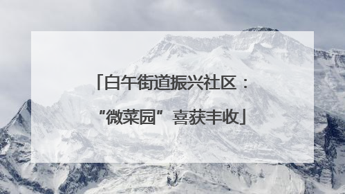 白午街道振兴社区：“微菜园”喜获丰收