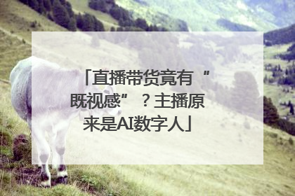 直播带货竟有“既视感”？主播原来是AI数字人