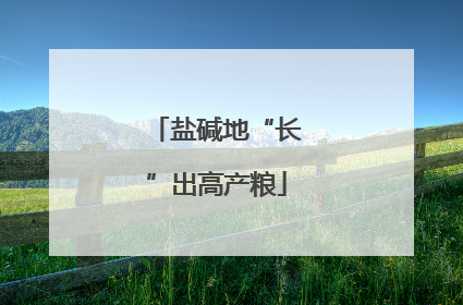 盐碱地“长”出高产粮