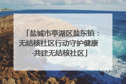 盐城市亭湖区盐东镇：无结核社区行动守护健康 ·共建无结核社区