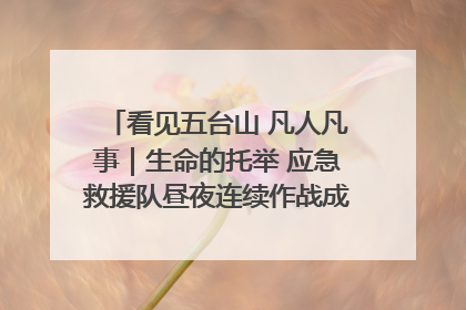 看见五台山 凡人凡事｜生命的托举 应急救援队昼夜连续作战成功救出两批被困游客