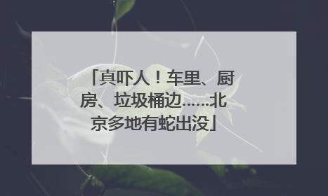 真吓人！车里、厨房、垃圾桶边……北京多地有蛇出没