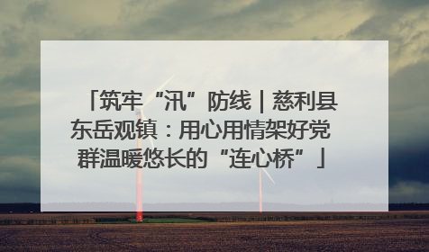 筑牢“汛”防线｜慈利县东岳观镇：用心用情架好党群温暖悠长的“连心桥”