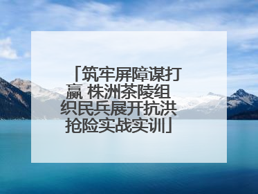 筑牢屏障谋打赢 株洲茶陵组织民兵展开抗洪抢险实战实训