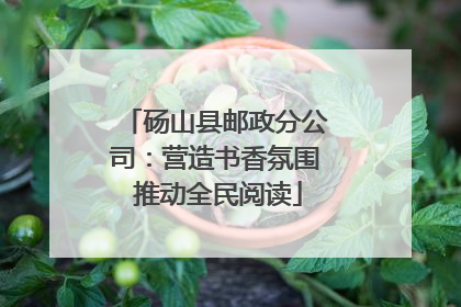 砀山县邮政分公司：营造书香氛围 推动全民阅读