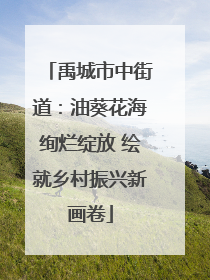 禹城市中街道：油葵花海绚烂绽放 绘就乡村振兴新画卷