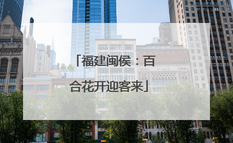 福建闽侯：百合花开迎客来