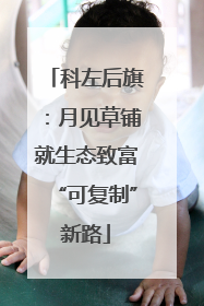科左后旗：月见草铺就生态致富“可复制”新路