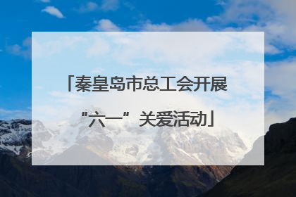 秦皇岛市总工会开展“六一”关爱活动