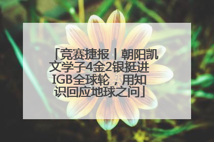 竞赛捷报丨朝阳凯文学子4金2银挺进IGB全球轮，用知识回应地球之问