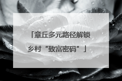 章丘多元路径解锁乡村“致富密码”