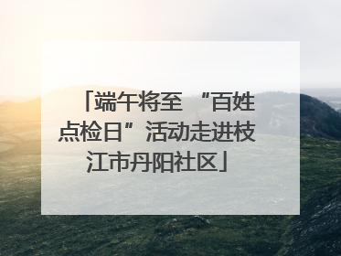 端午将至 “百姓点检日”活动走进枝江市丹阳社区