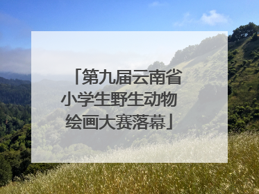 第九届云南省小学生野生动物绘画大赛落幕
