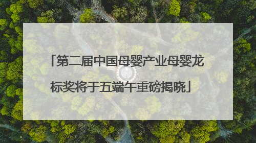 第二届中国母婴产业母婴龙标奖将于五端午重磅揭晓