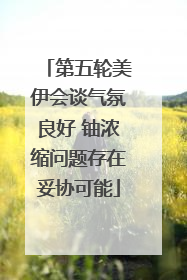 第五轮美伊会谈气氛良好 铀浓缩问题存在妥协可能