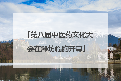 第八届中医药文化大会在潍坊临朐开幕