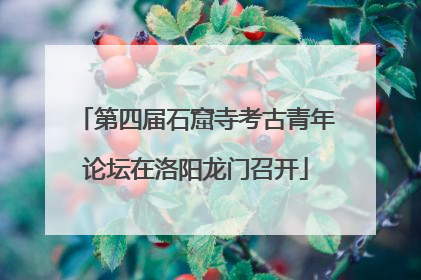 第四届石窟寺考古青年论坛在洛阳龙门召开