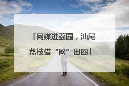 网媒进荔园，汕尾荔枝借“网”出圈