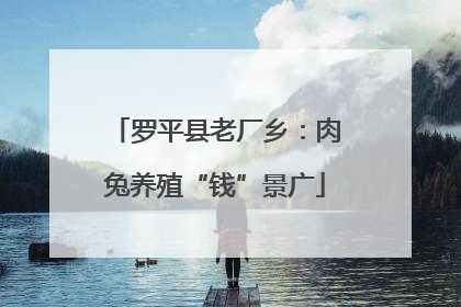 罗平县老厂乡：肉兔养殖“钱”景广