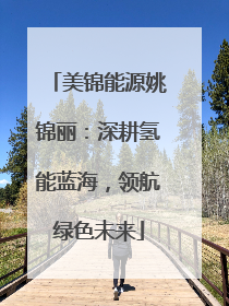 美锦能源姚锦丽：深耕氢能蓝海，领航绿色未来