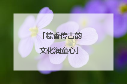 粽香传古韵 文化润童心