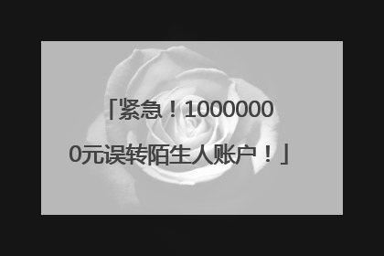 紧急！10000000元误转陌生人账户！