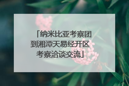 纳米比亚考察团到湘潭天易经开区考察洽谈交流