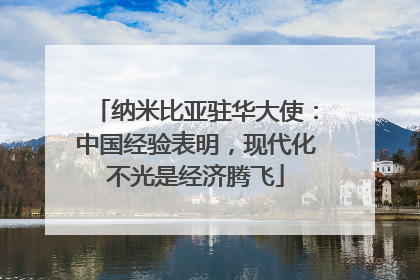 纳米比亚驻华大使：中国经验表明，现代化不光是经济腾飞