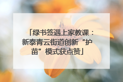 绿书签遇上家教课：新泰青云街道创新“护苗”模式获点赞