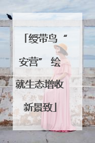 绶带鸟“安营” 绘就生态增收新景致