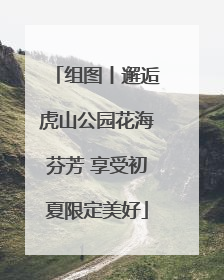 组图丨邂逅虎山公园花海芬芳 享受初夏限定美好