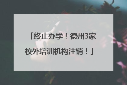 终止办学！德州3家校外培训机构注销！