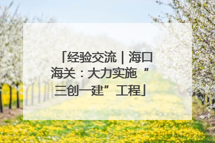 经验交流｜海口海关：大力实施“三创一建”工程