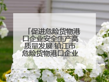 促进危险货物港口企业安全生产高质量发展 镇江市危险货物港口企业安全联盟成立