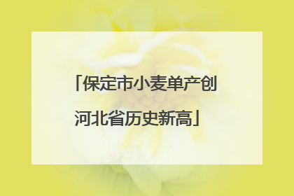 保定市小麦单产创河北省历史新高