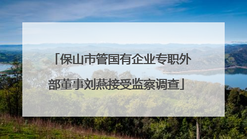 保山市管国有企业专职外部董事刘燕接受监察调查