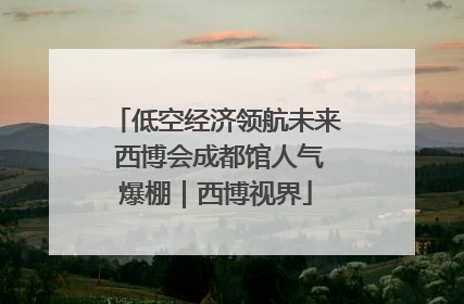 低空经济领航未来 西博会成都馆人气爆棚｜西博视界