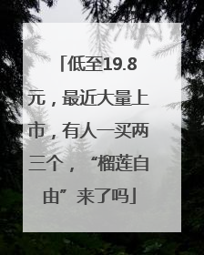低至19.8元，最近大量上市，有人一买两三个，“榴莲自由”来了吗