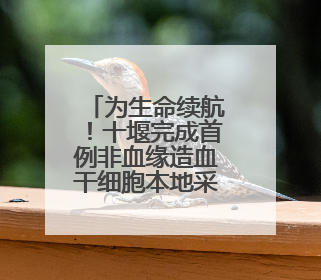 为生命续航！十堰完成首例非血缘造血干细胞本地采集