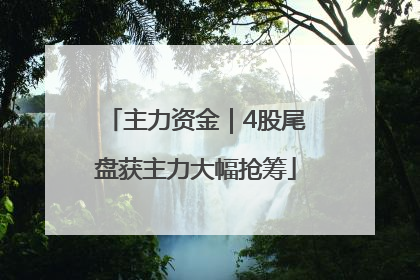 主力资金｜4股尾盘获主力大幅抢筹