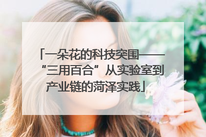 一朵花的科技突围——“三用百合”从实验室到产业链的菏泽实践