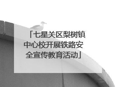 七星关区梨树镇中心校开展铁路安全宣传教育活动