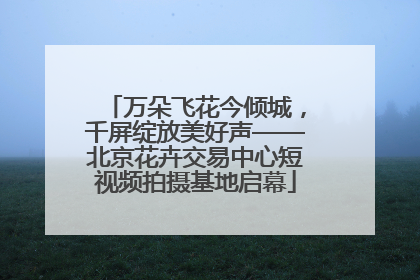 万朵飞花今倾城，千屏绽放美好声——北京花卉交易中心短视频拍摄基地启幕