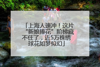 上海人速冲！这片“新娘捧花”阶梯藏不住了，近5万株绣球花如梦似幻