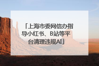 上海市委网信办指导小红书、B站等平台清理违规AI