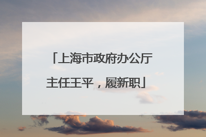 上海市政府办公厅主任王平，履新职